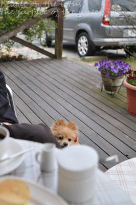 b0075318_135712100.gif