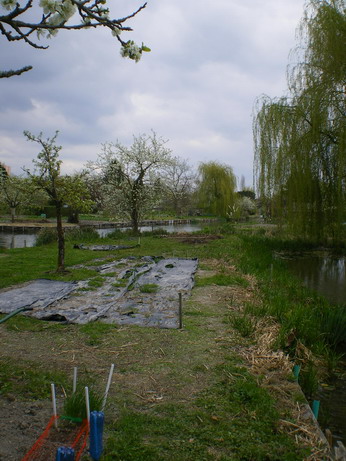 c0124619_15512693.jpg