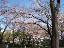 ただいま~♪♪ そして..._a0043520_4164668.jpg