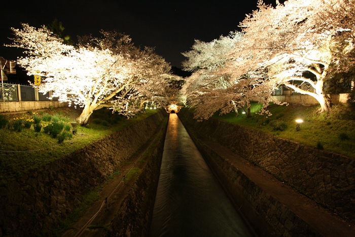 a0170321_21131810.jpg