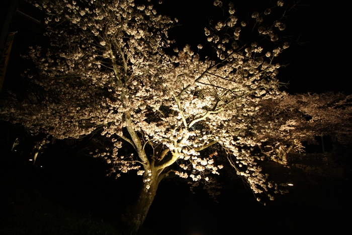 a0170321_21162260.jpg