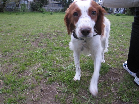 f0213924_0491.jpg