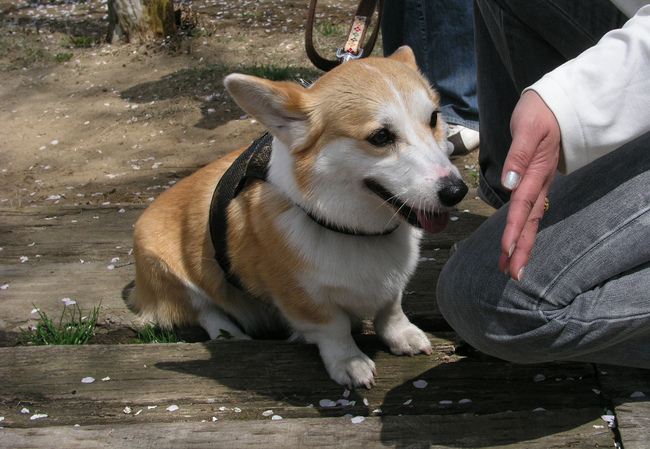 e0071225_231847.jpg