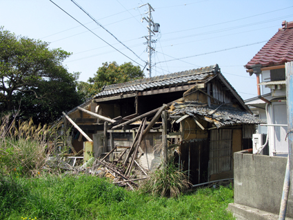 孫に引かれて・・・・_f0129726_19363757.jpg
