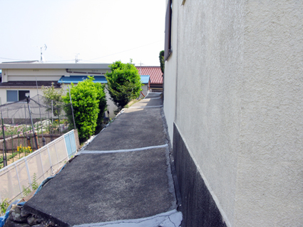 孫に引かれて・・・・_f0129726_19401096.jpg