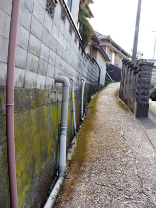 孫に引かれて・・・・_f0129726_19521946.jpg