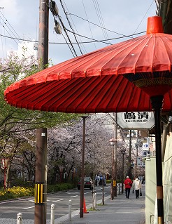 近場のお花見へ♪_f0054428_0463363.jpg