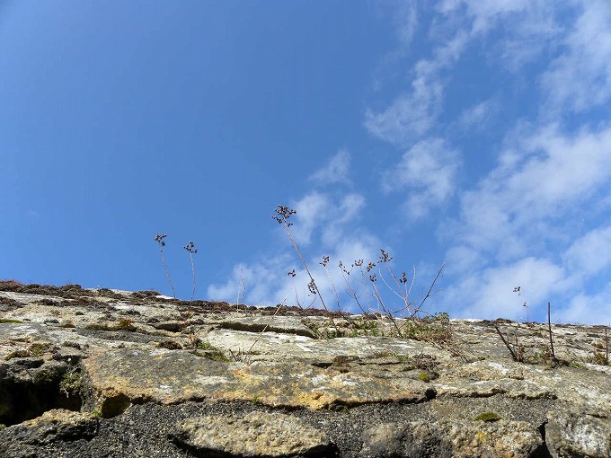 f0054429_231413.jpg