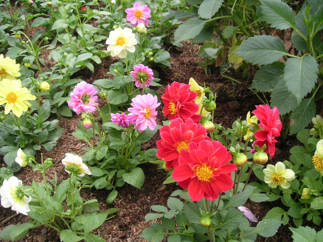 c0127933_15132563.jpg