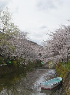 e0146338_1640891.jpg