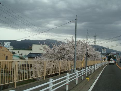 a0014840_22235647.jpg