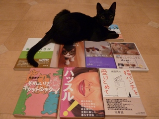 猫との暮らし虎の巻本猫 のぇるろった編。_a0143140_23262841.jpg