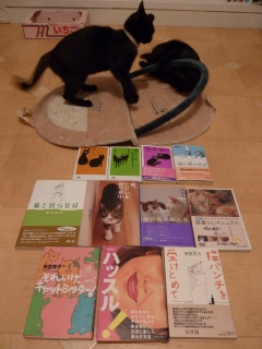 猫との暮らし虎の巻本猫 のぇるろった編。_a0143140_2394590.jpg
