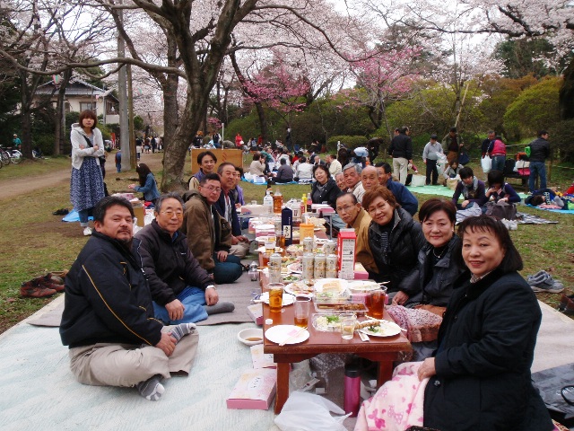 桜～、さくら～、sakura～♪_a0129841_1212679.jpg