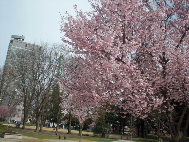 f0224442_18523397.jpg