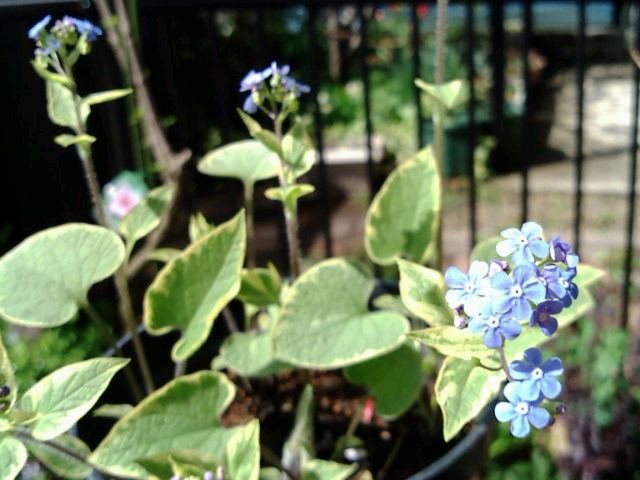f0236744_109413.jpg