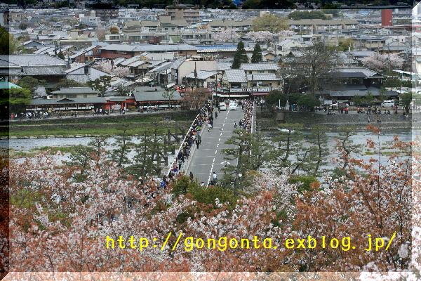 花は、桜～♪_e0085147_14541983.jpg