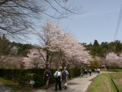 花尽くしウォーク_f0019247_22161152.jpg