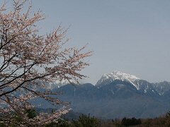花尽くしウォーク_f0019247_22325284.jpg