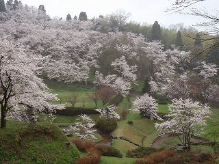 c0208355_15424662.jpg