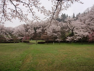 c0208355_15425917.jpg