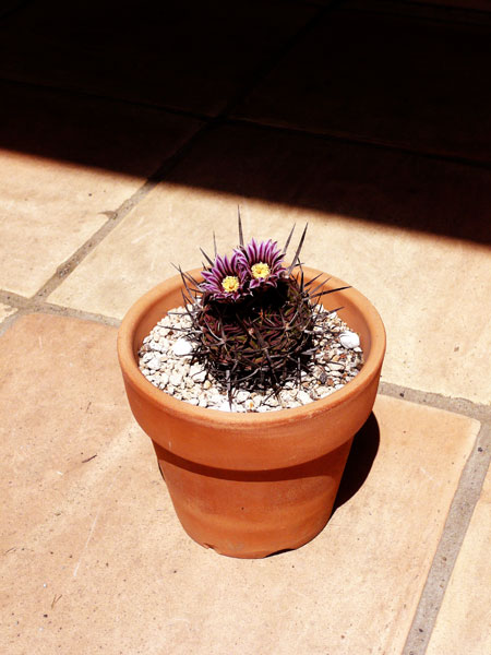 b0152660_1225861.jpg