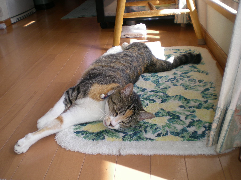 2010年4月13日(火)愛ちゃん探偵団!_f0060461_8543788.jpg