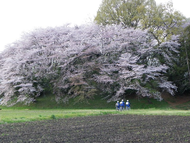 朝子塚古墳 (太田市牛沢町)_b0004675_22142168.jpg