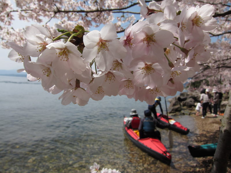 カヤックと桜に酔いしれて（前編）_e0138081_1820286.jpg