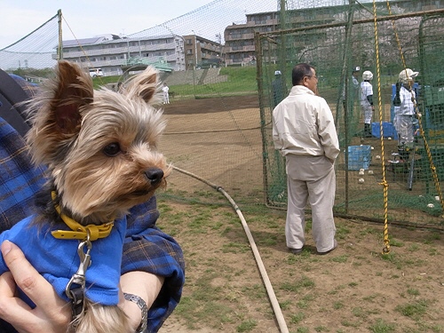 多摩川お花見散歩_e0156083_6573579.jpg