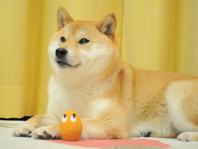 なんで~~~!?_a0126590_22514152.jpg