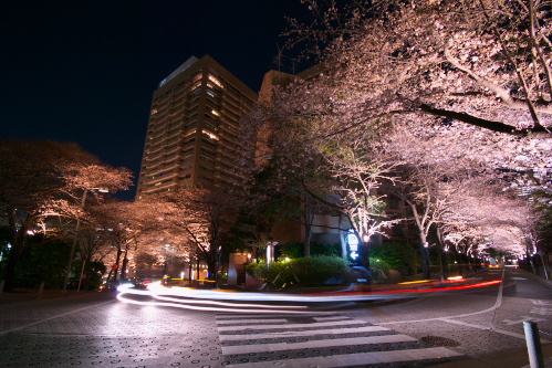 c0082191_22141348.jpg