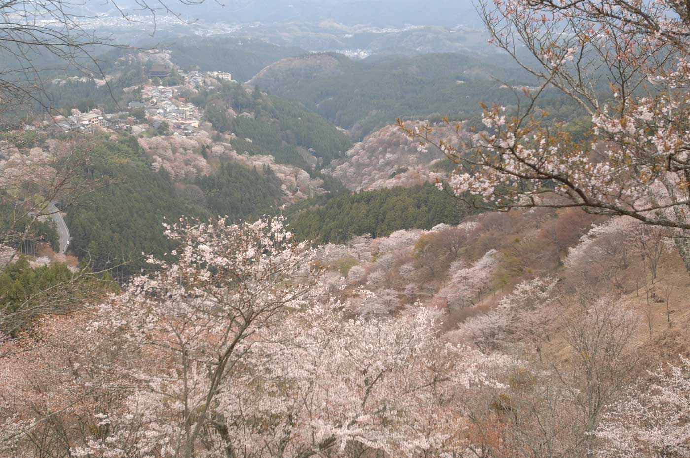e0116694_22435153.jpg