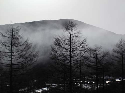 雨氷の景色_e0120896_7405111.jpg