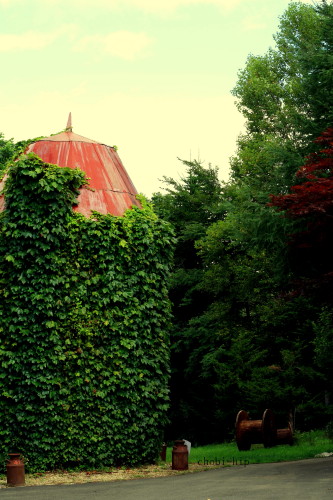 c0190900_1534966.jpg