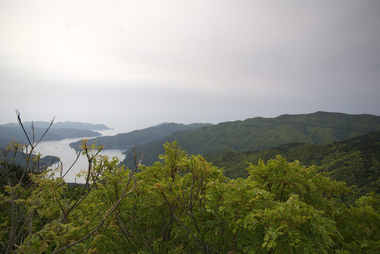 b0174905_5274178.jpg