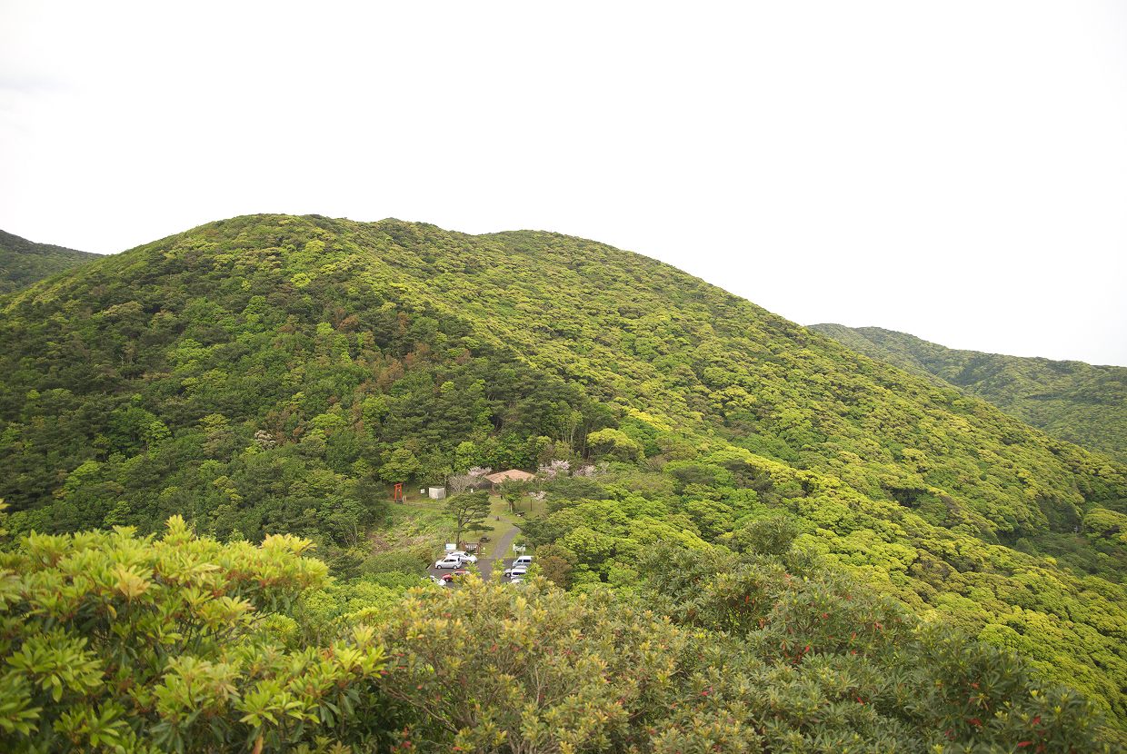 b0174905_527532.jpg