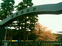 「夢舞いマラソン」試走会_a0036808_14415082.jpg