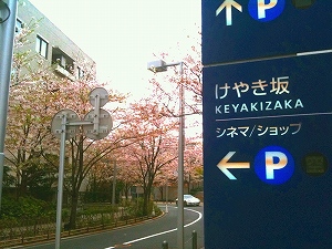 「夢舞いマラソン」試走会_a0036808_14431848.jpg