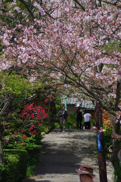 c0156908_165720.jpg