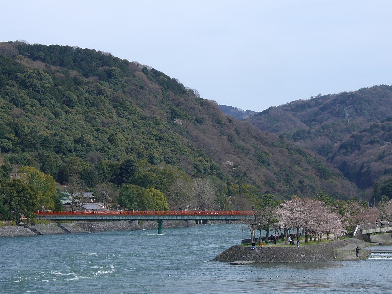 平等院の春_d0116009_3491389.jpg