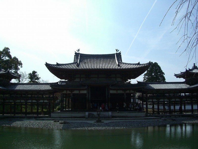 平等院の春_d0116009_351047.jpg