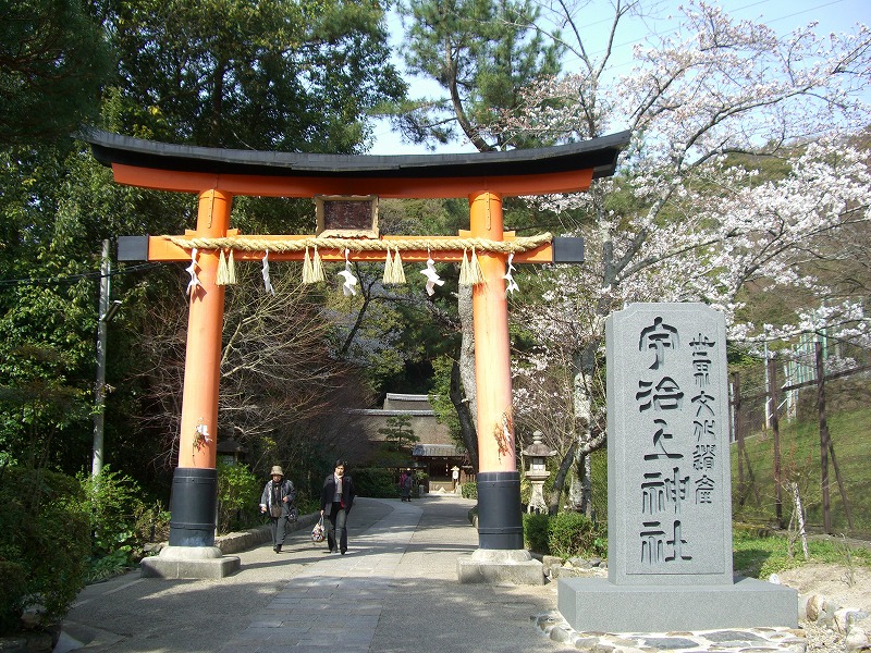 平等院の春_d0116009_3543639.jpg