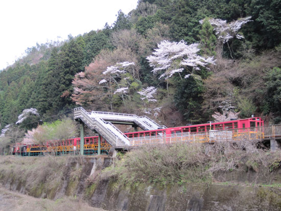 トロッコ電車_a0164011_1743586.jpg