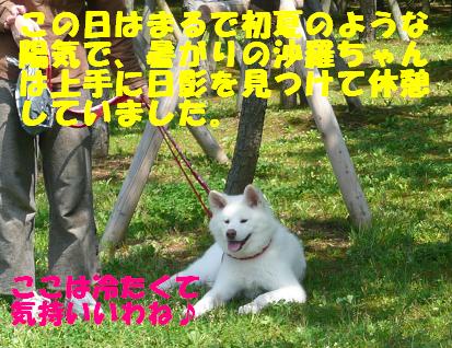 f0121712_15441759.jpg