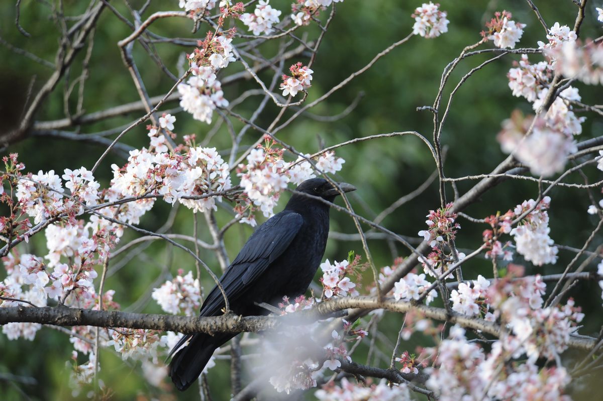 千葉鴨川旅行記 3 _f0133213_22325084.jpg