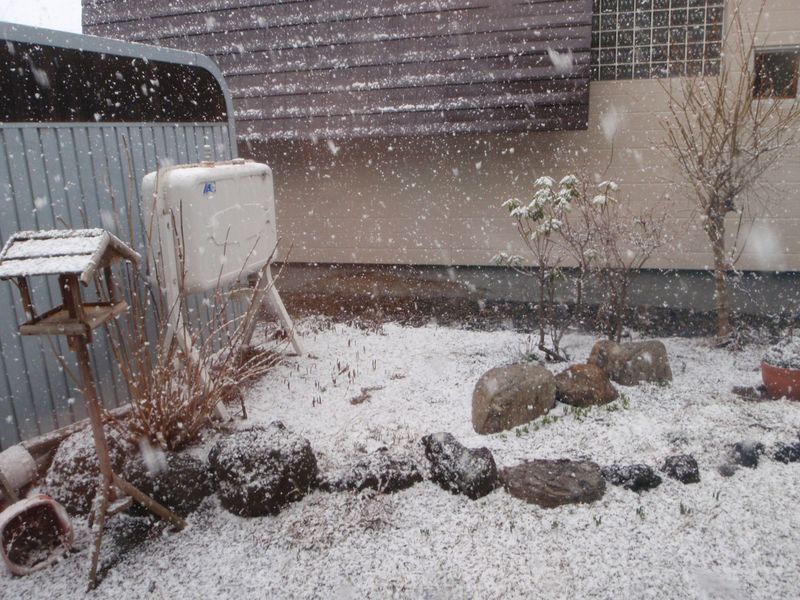 【春の嵐」から「冬の嵐」へ_c0025115_206577.jpg