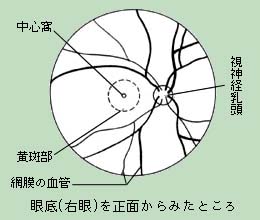 e0118224_169365.jpg