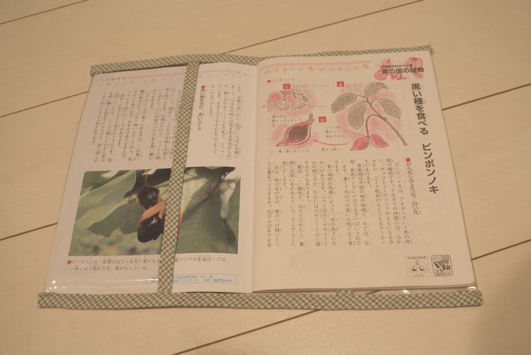 e0188325_034276.jpg