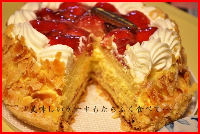桜と一緒に東京上陸?!2010年一時帰国_d0104926_020592.jpg